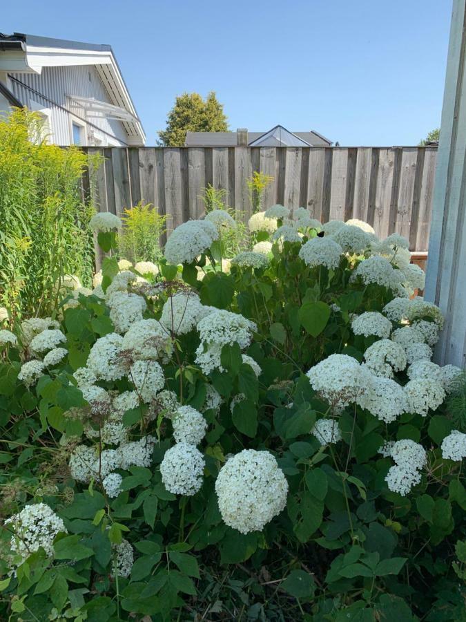 Private House Parking Garden Sea Nature Malmö Exterior foto